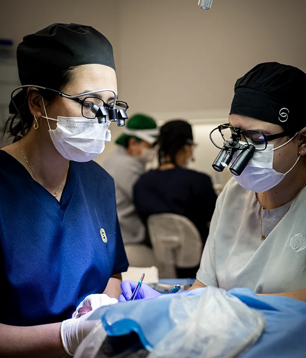 Sanabria Clinic surgical team performing follicular unit extraction