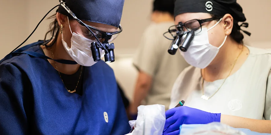 Graft placement during High-Count No-Shave FUE hair transplant